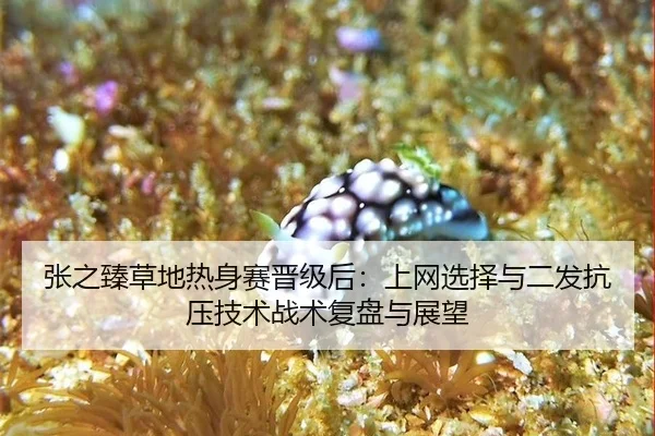 张之臻草地热身赛晋级后：上网选择与二发抗压技术战术复盘与展望